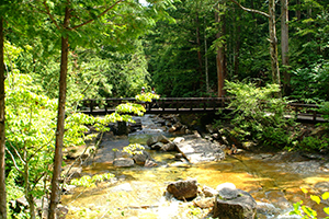 Thumbnail Image 1