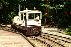 Thumbnail Image 1