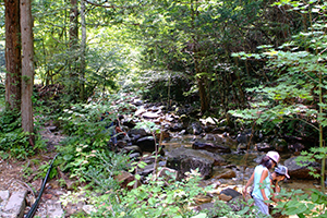 Thumbnail Image 1