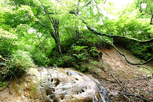 Thumbnail Image 1