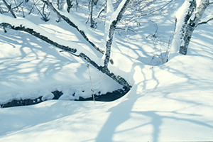 Thumbnail Image 1