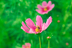 Thumbnail Image 1