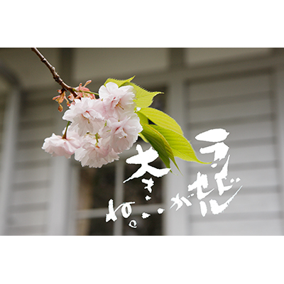 Thumbnail Image 1