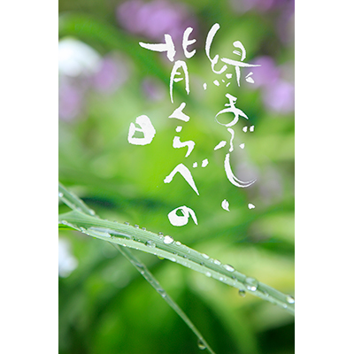 Thumbnail Image 1