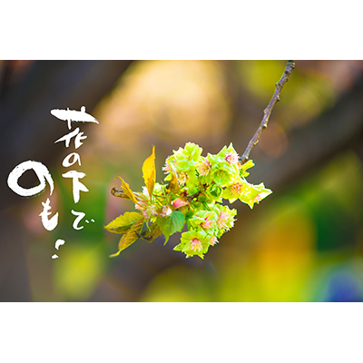 Thumbnail Image 1