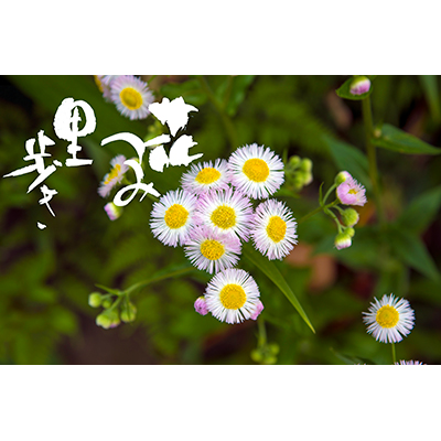 Thumbnail Image 1