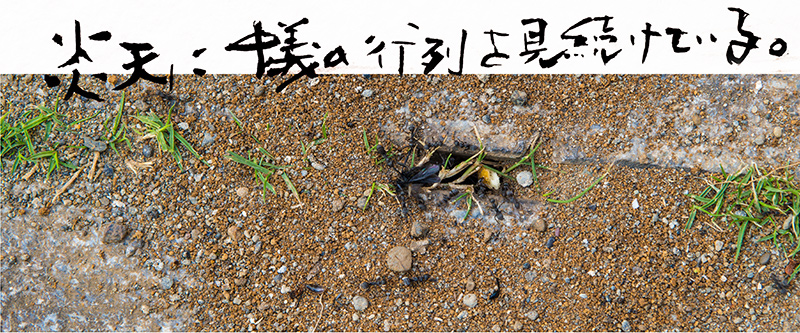 Thumbnail Image 1
