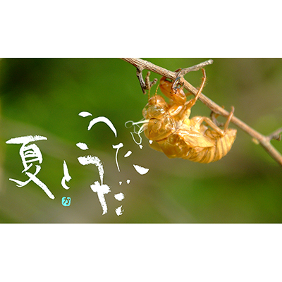 Thumbnail Image 1