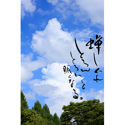 Thumbnail Image 1