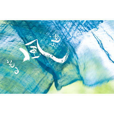 Thumbnail Image 1
