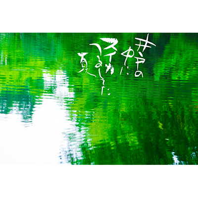 Thumbnail Image 1
