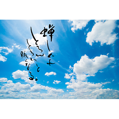 Thumbnail Image 1