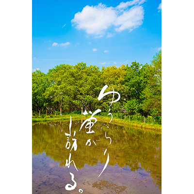 Thumbnail Image 1