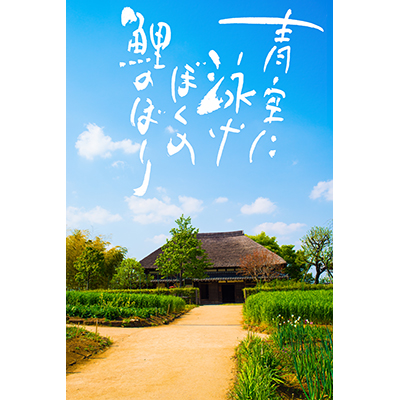 Thumbnail Image 1