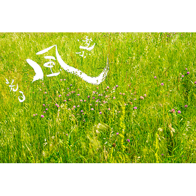Thumbnail Image 1