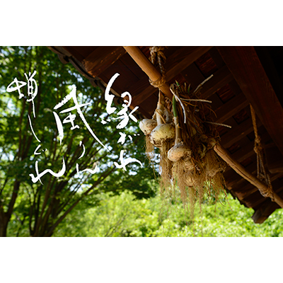 Thumbnail Image 1
