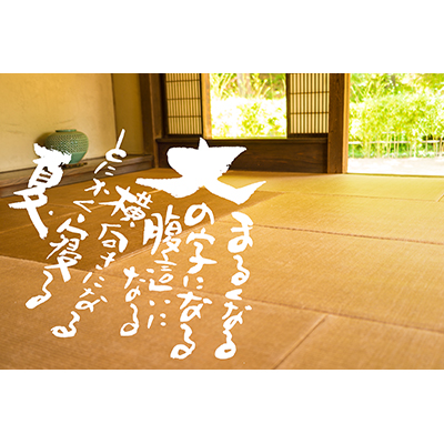 Thumbnail Image 1