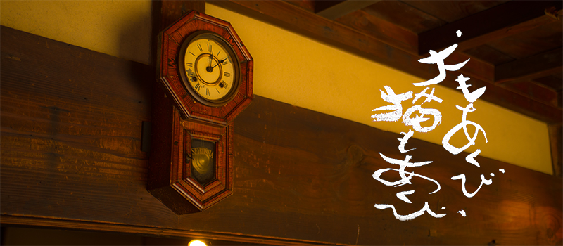 Thumbnail Image 1
