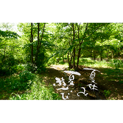 Thumbnail Image 1