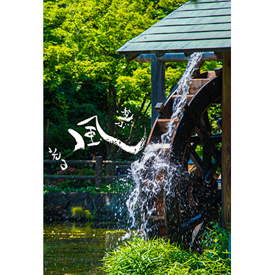 Thumbnail Image 1