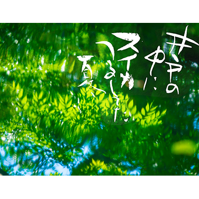 Thumbnail Image 1