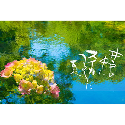 Thumbnail Image 1