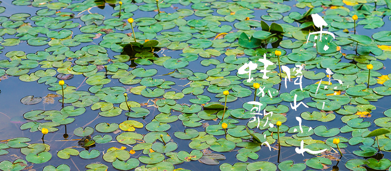 Thumbnail Image 1