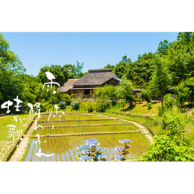 Thumbnail Image 1