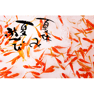 Thumbnail Image 1