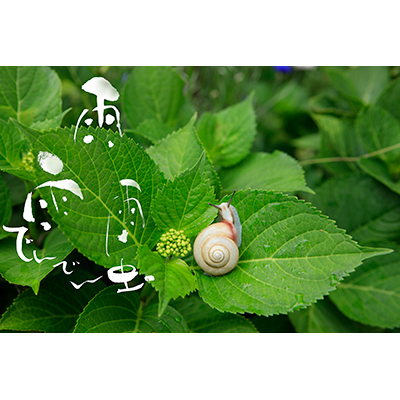 Thumbnail Image 1