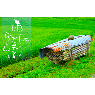 Thumbnail Image 1