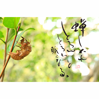 Thumbnail Image 1